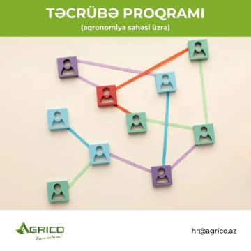 Gənclər üçün Təcrübə Proqramı