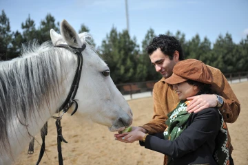 Bakıda at çapa biləcəyiniz məkanlar. Atcılıq mərkəzləri