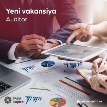 Auditor vakansiyası