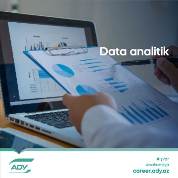 Aparıcı analitik (Lead data analyst) vakansiyası