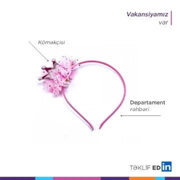 HPMD-nin köməkçisi vakansiyası