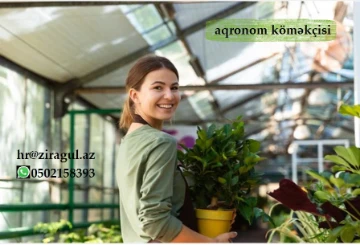 Aqronom köməkçisi vakansiyası