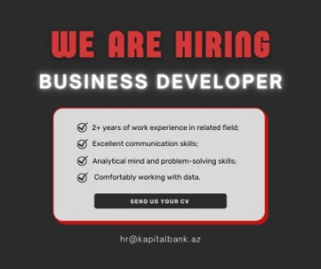 Business Developer