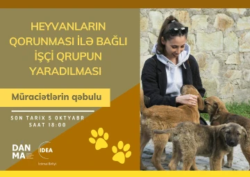 Heyvanların qorunması ilə bağlı işçi qrupu