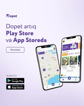 Startap layihəsi Dopet tətbiqi artıq istifadəçilərini gözləyir