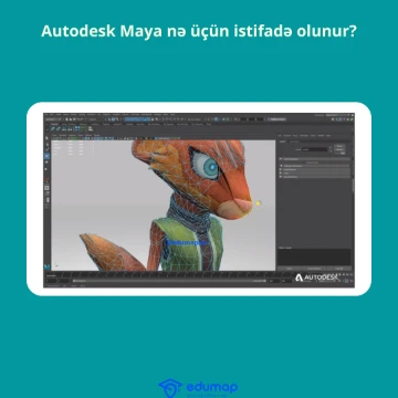 Autodesk Maya nə üçün istifadə olunur?