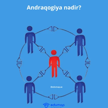 Andraqogiya nədir?
