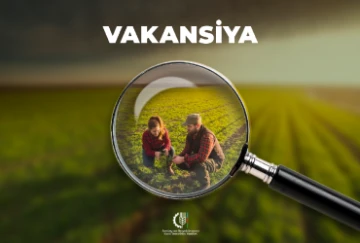 Kənd Təsərrüfatı Nazirliyi 308 vakant vəzifə üzrə işə qəbul elan edib