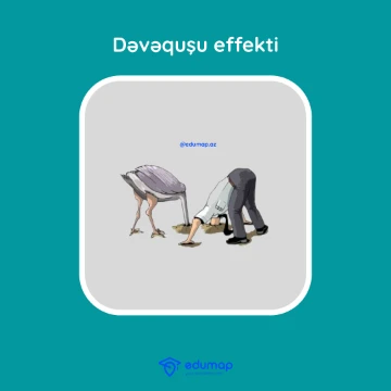 "Dəvəquşu effekti" nədir?