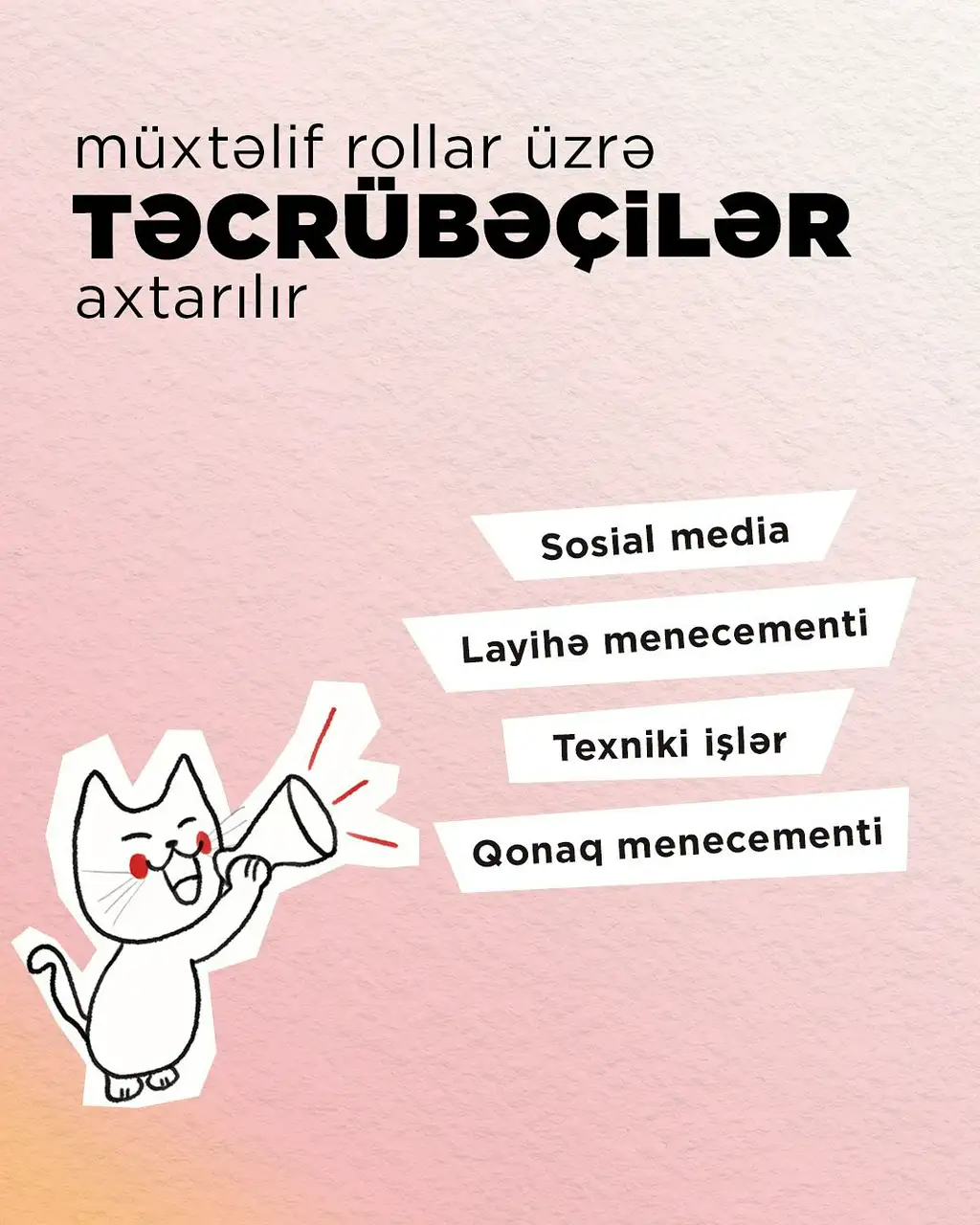 8-ci ANİMAFİLM Festivalı üçün təcrübəçilər axtarılır