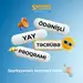 Maaşlı Yay Təcrübə Proqramı
