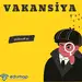 Mühasib vakansiyası