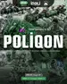 POLİQON” gənclərin hərbi-vətənpərvərlik düşərgəsi (Ödənişsiz)