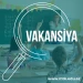 Biz yerli və xarici həmkarları ilə beynəlxalq mühitdə işləmək istəyən müəllimlər axtarırıq