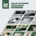 “Reklam posterinin hazırlanması" adlı master klass keçiriləcək (ÖDƏNİŞSİZ)