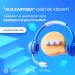 Tələbələr və iş axtaranlar üçün ödənişsiz karyera fürsətləri!
