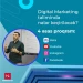 “Hoffman Co - Digital Marketing Təlimi” – 100% Praktiki Təlim proqramı !