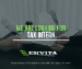 Tax Intern