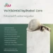 Yol tikintisi layihələri üzrə müxtəlif vakansiyalar